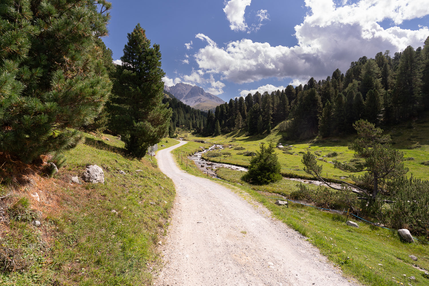 Tag 6 - 1. September 2026 – Engadin Foto 14