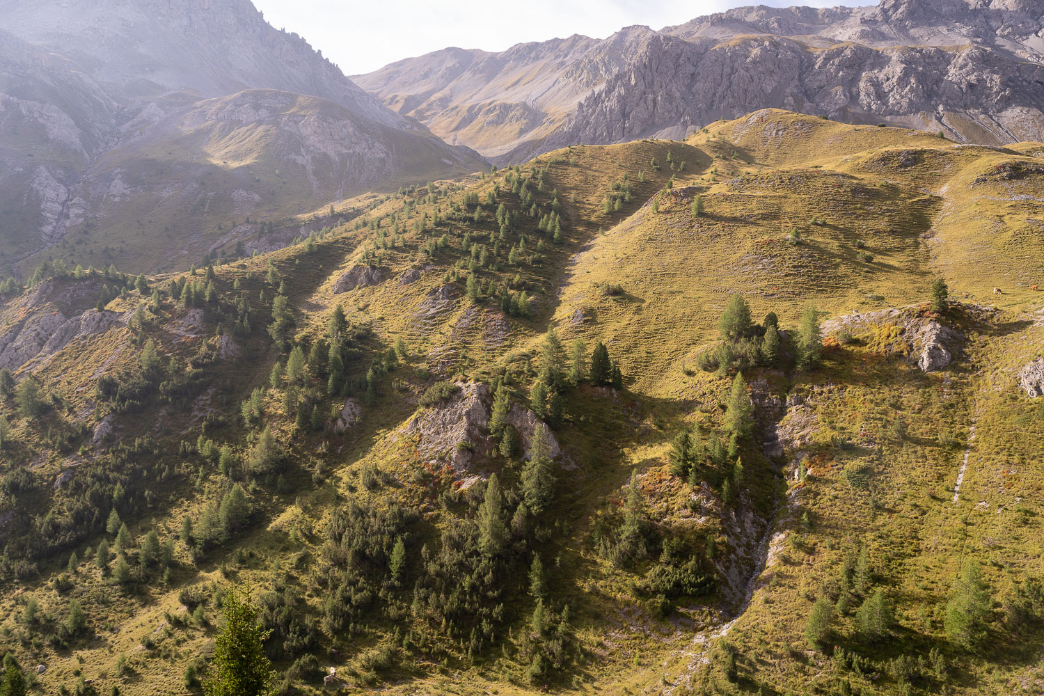 Tag 7 - 2. September 2026 – Livigno Foto 1