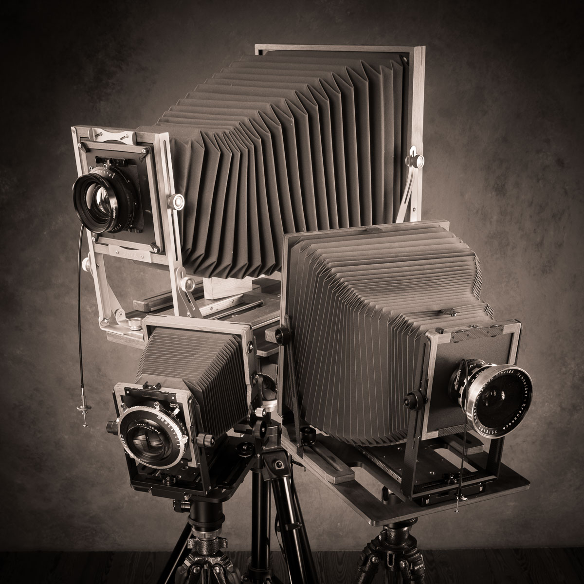Drei Großformatkameras für Tintype